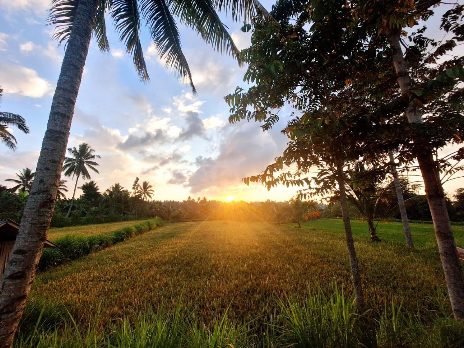 Bunga Maliq Bungalow Lombok Tetebatu Exterior foto