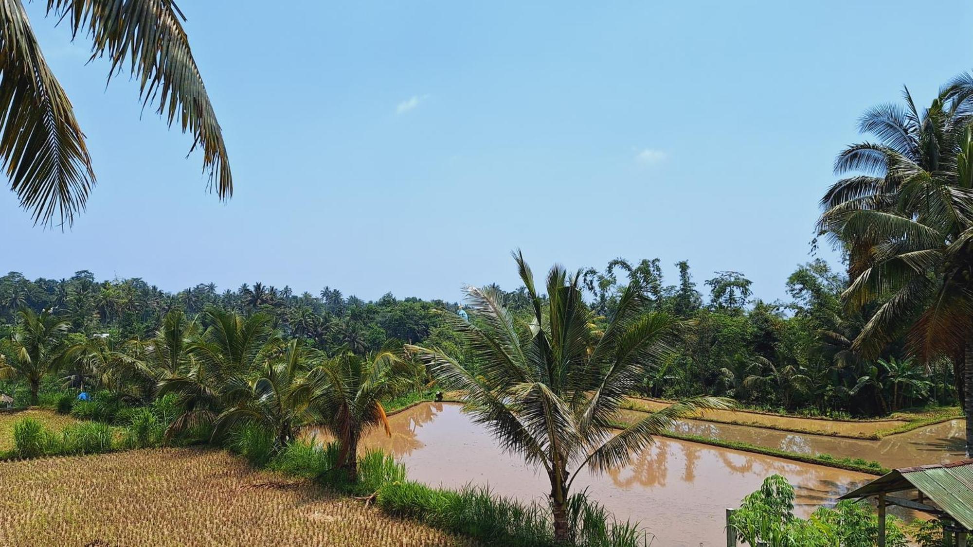 Bunga Maliq Bungalow Lombok Tetebatu Exterior foto