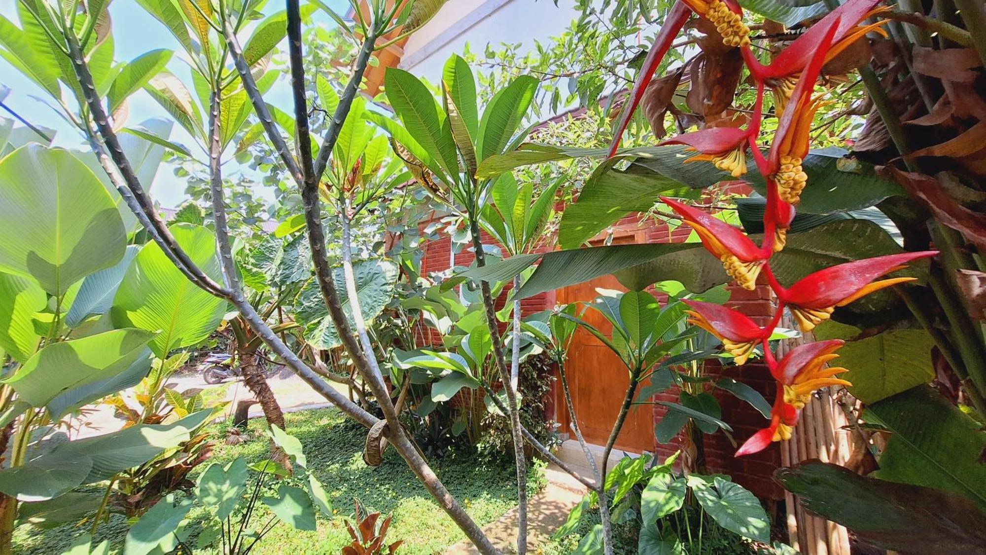 Bunga Maliq Bungalow Lombok Tetebatu Zimmer foto