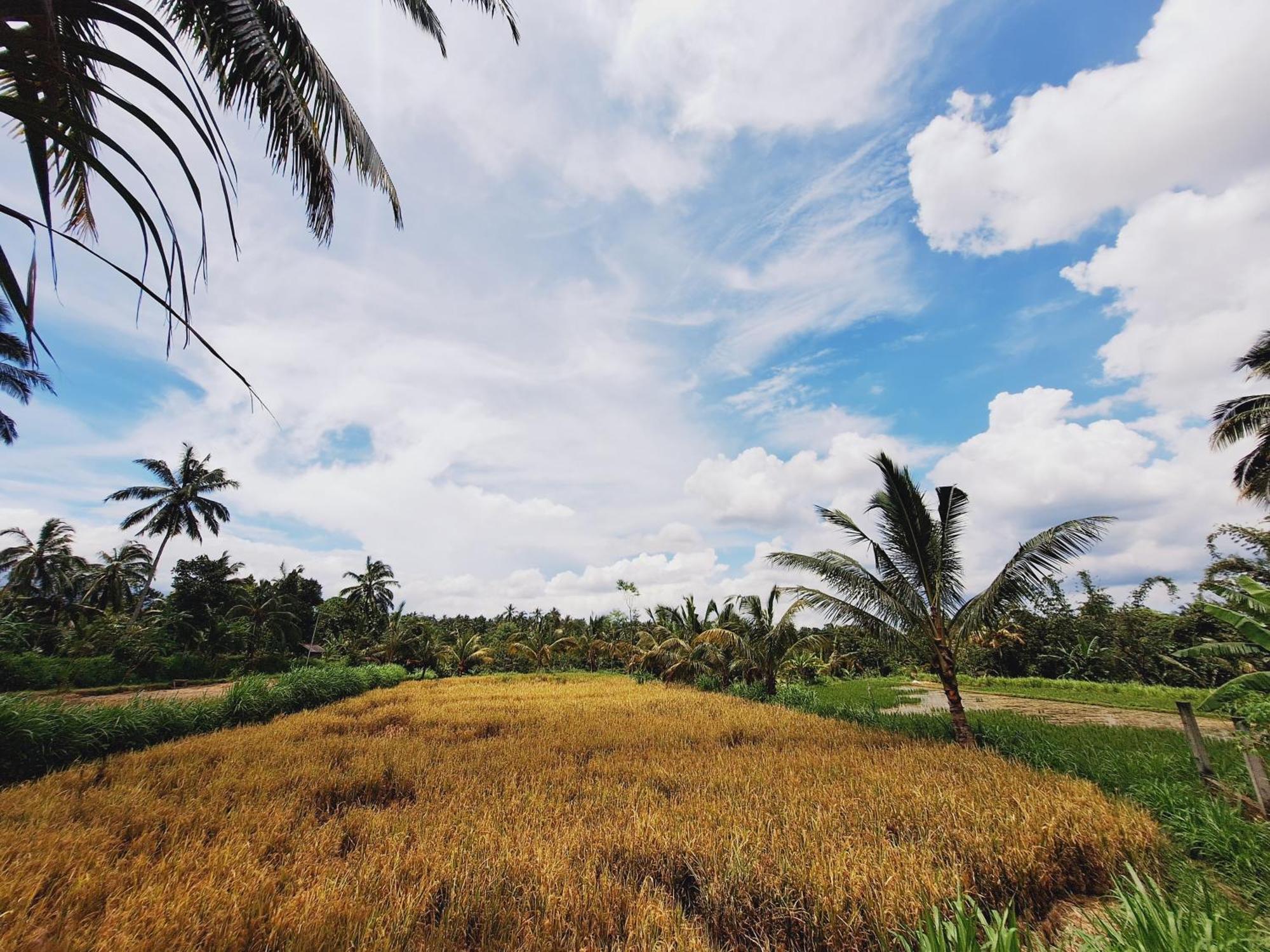 Bunga Maliq Bungalow Lombok Tetebatu Exterior foto
